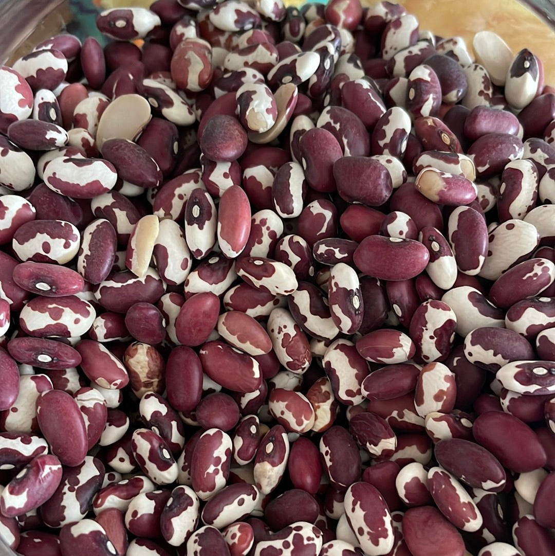 Anasazi Beans