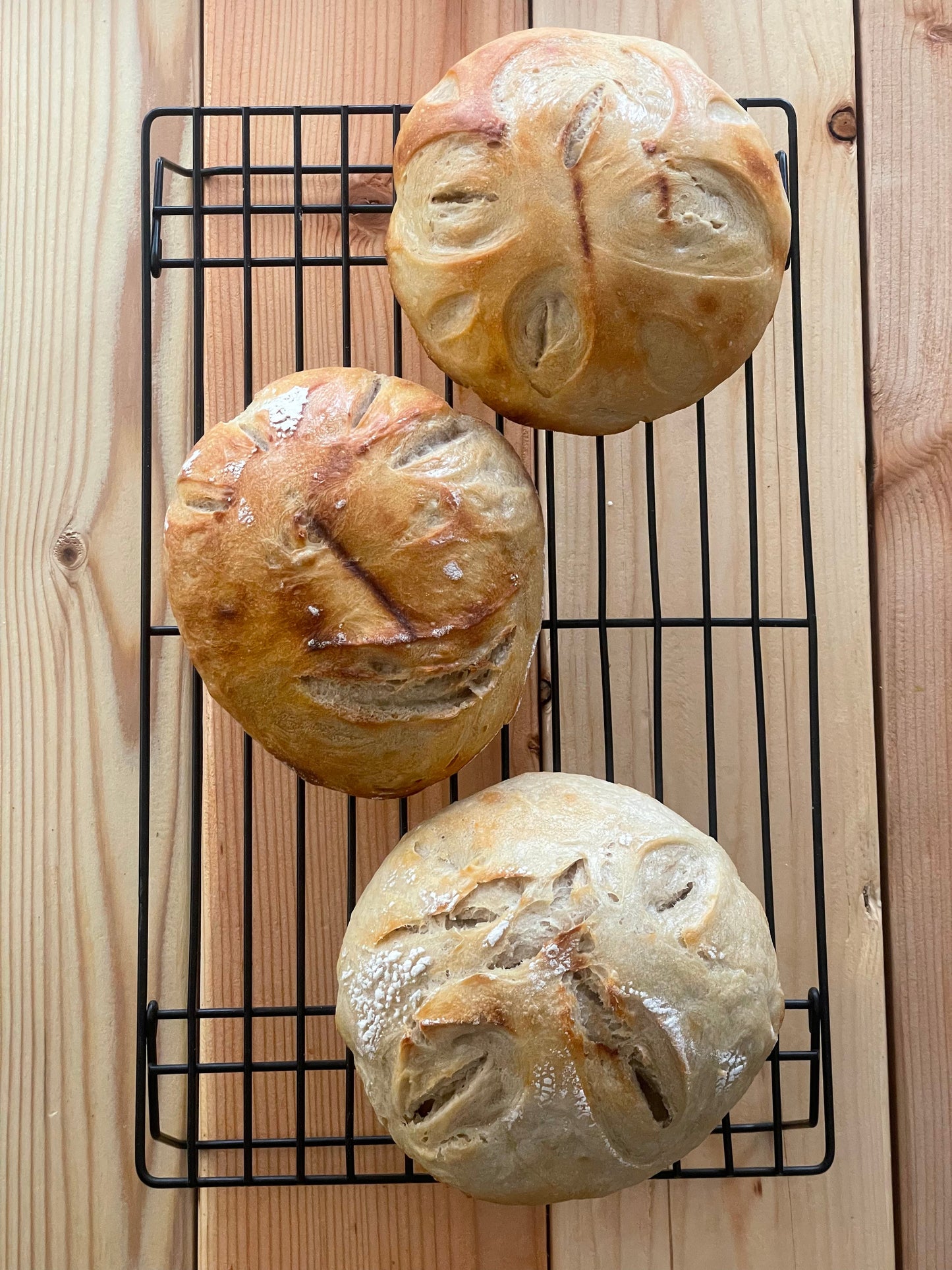 Specialty or Xl Sourdough bread